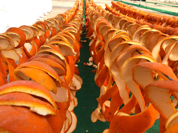 Spanish Orange Peels Drying